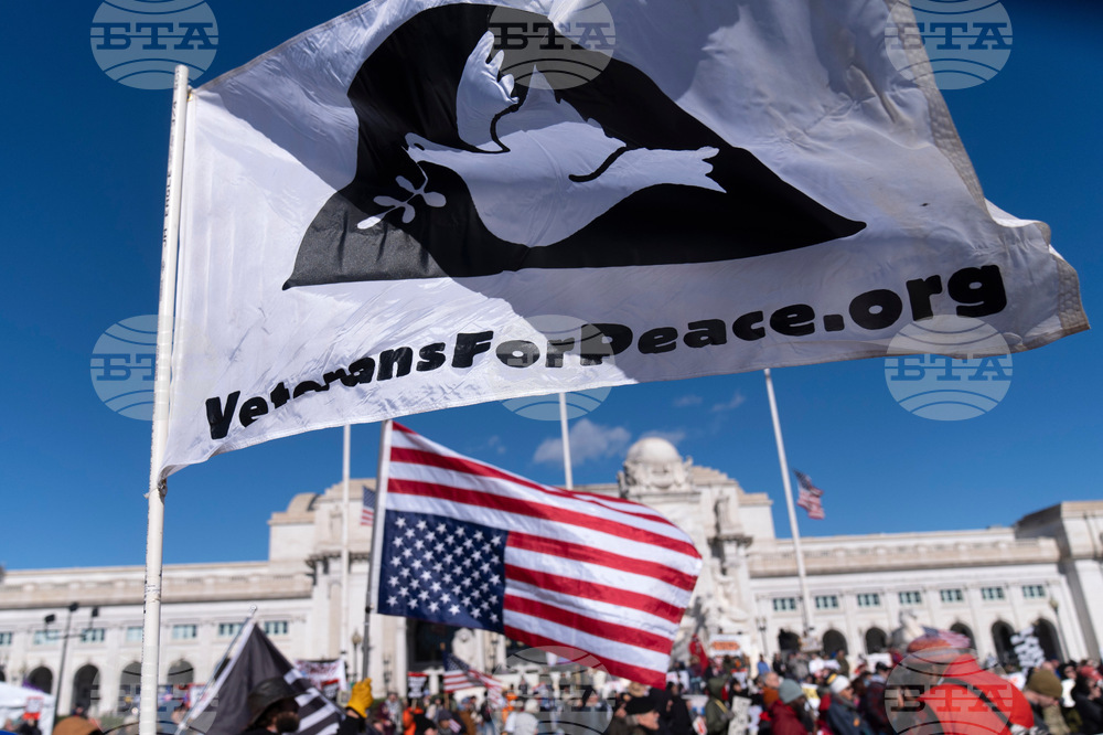 Veterans Day Protest