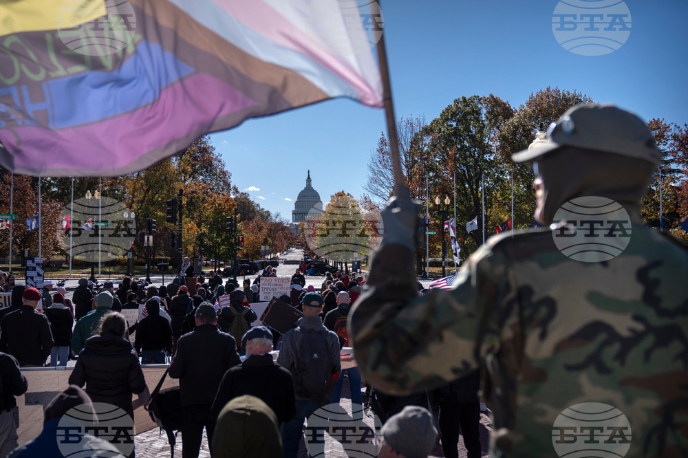 Veterans Day Protest