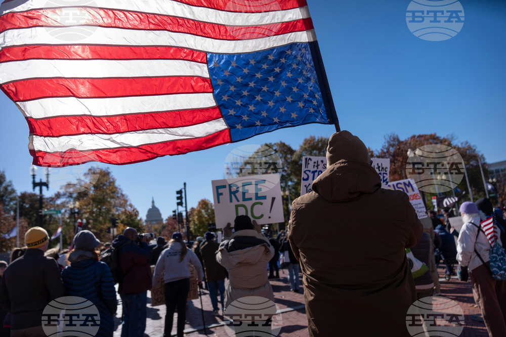 APTOPIX Veterans Day Protest