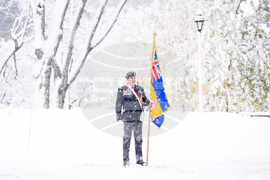 APTOPIX Canada Remembrance Day
