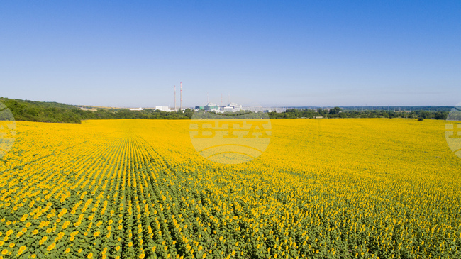 Обединен подбор за „Експерт печатни издания“ обяви АЕЦ „Козлодуй