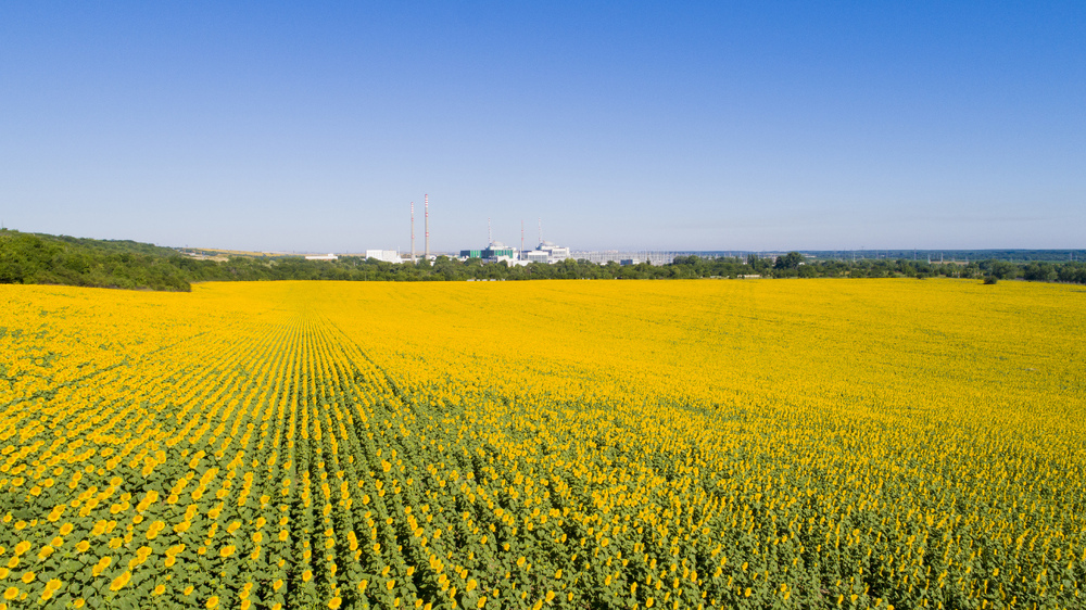Обединен подбор за „Експерт печатни издания“ обяви АЕЦ „Козлодуй