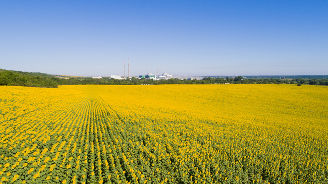 Обединен подбор за „Експерт печатни издания“ обяви АЕЦ „Козлодуй