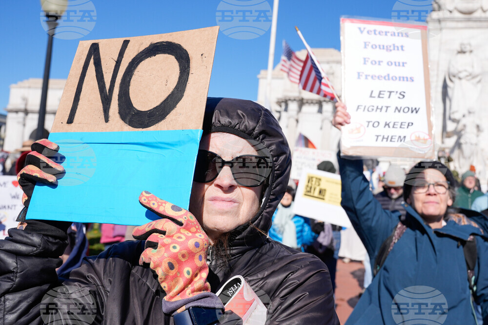 Veterans Day Protest