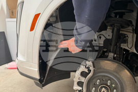 Baylor Kitten Basketball