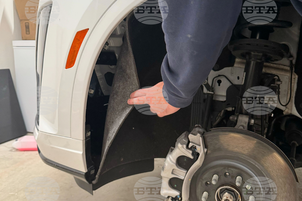 Baylor Kitten Basketball