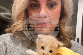 Baylor Kitten Basketball