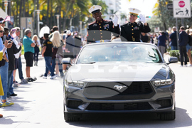 Veterans Day Florida