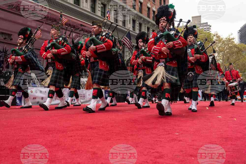 Veterans Day Parade New York