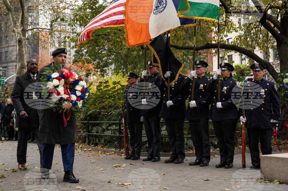 Veterans Day Parade New York