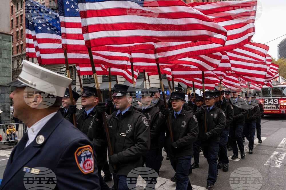 Veterans Day Parade New York