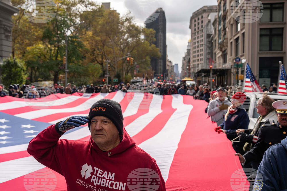 Veterans Day Parade New York