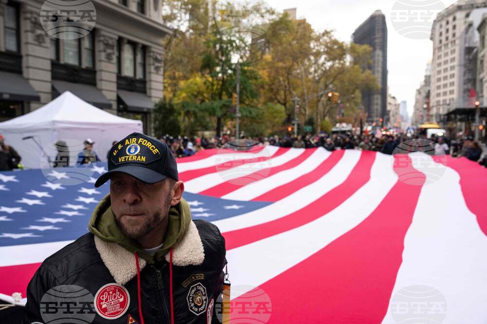Veterans Day Parade New York