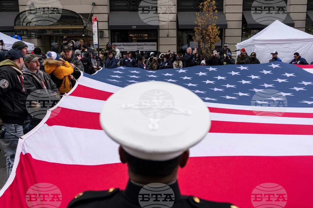 Veterans Day Parade New York