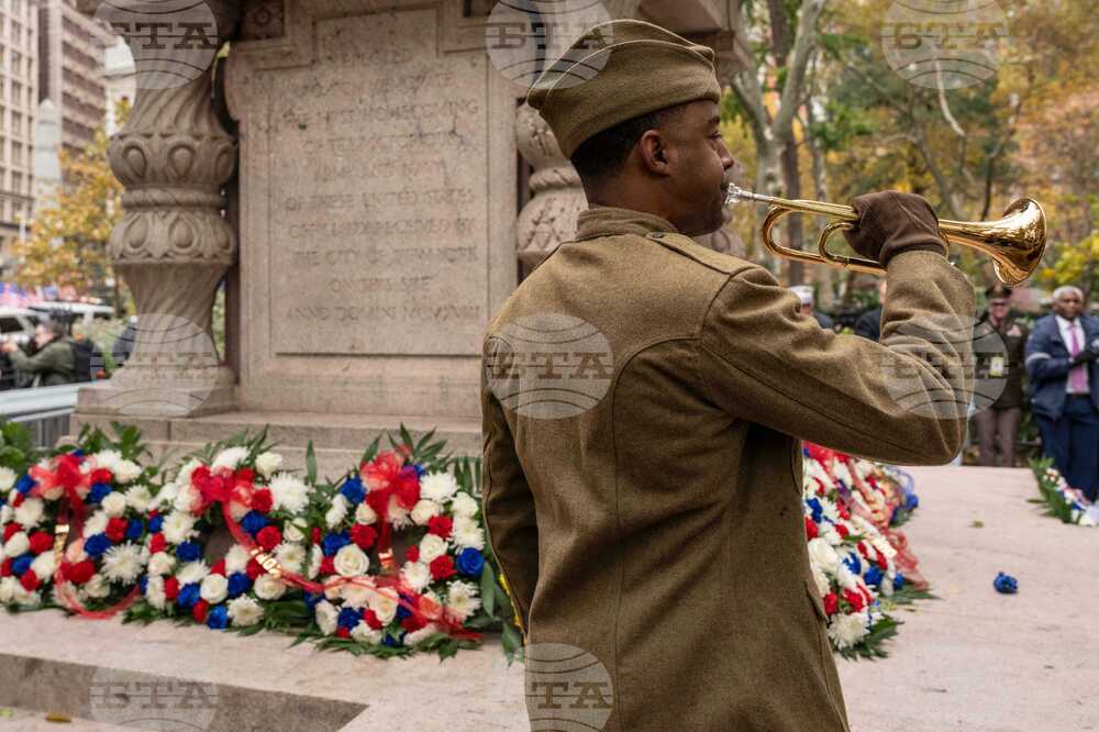 Veterans Day Parade New York