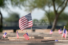 Veterans Day Arizona