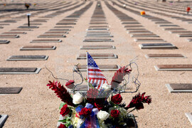 Veterans Day Arizona