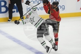 Stars Senators Hockey