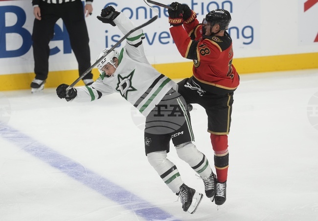 Stars Senators Hockey