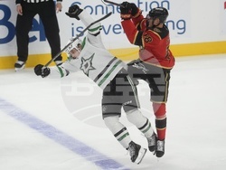 Stars Senators Hockey