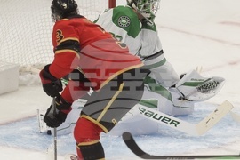 Stars Senators Hockey