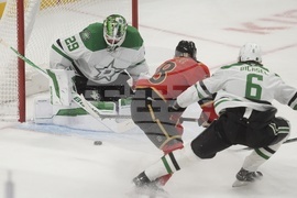 Stars Senators Hockey