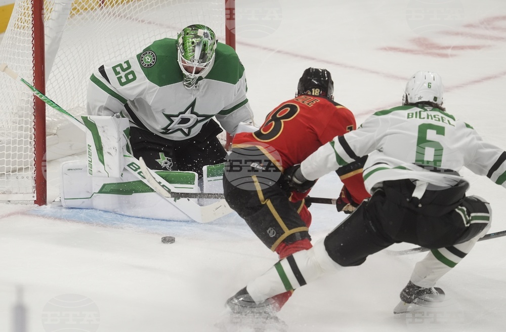 Stars Senators Hockey