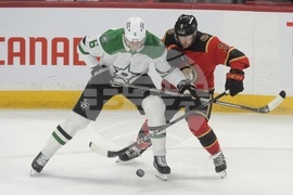 Stars Senators Hockey