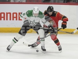 Stars Senators Hockey