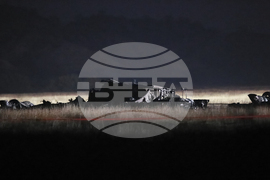 APTOPIX Turkey Plane Crash