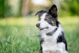 Holiday Gift Guide-Game Changers