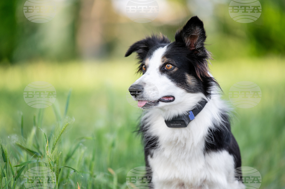 Holiday Gift Guide-Game Changers