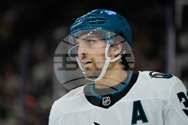 Sharks Wild Hockey