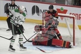 Stars Senators Hockey