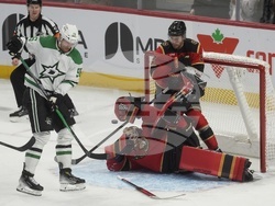Stars Senators Hockey