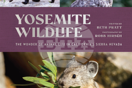 Holiday Gift Guide-Nonfiction Books