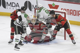 Stars Senators Hockey