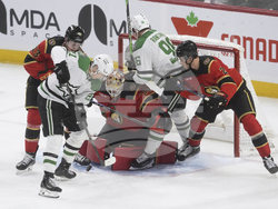 Stars Senators Hockey