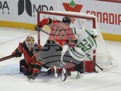 Stars Senators Hockey