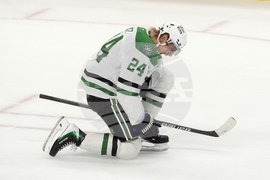 Stars Senators Hockey