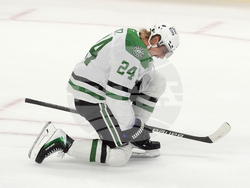 Stars Senators Hockey