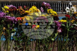 Veterans Protest Portland