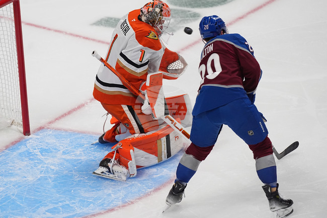Ducks Avalanche Hockey