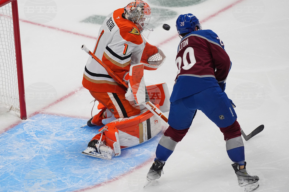 Ducks Avalanche Hockey