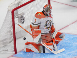 Ducks Avalanche Hockey