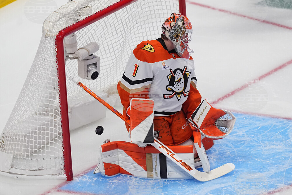 Ducks Avalanche Hockey