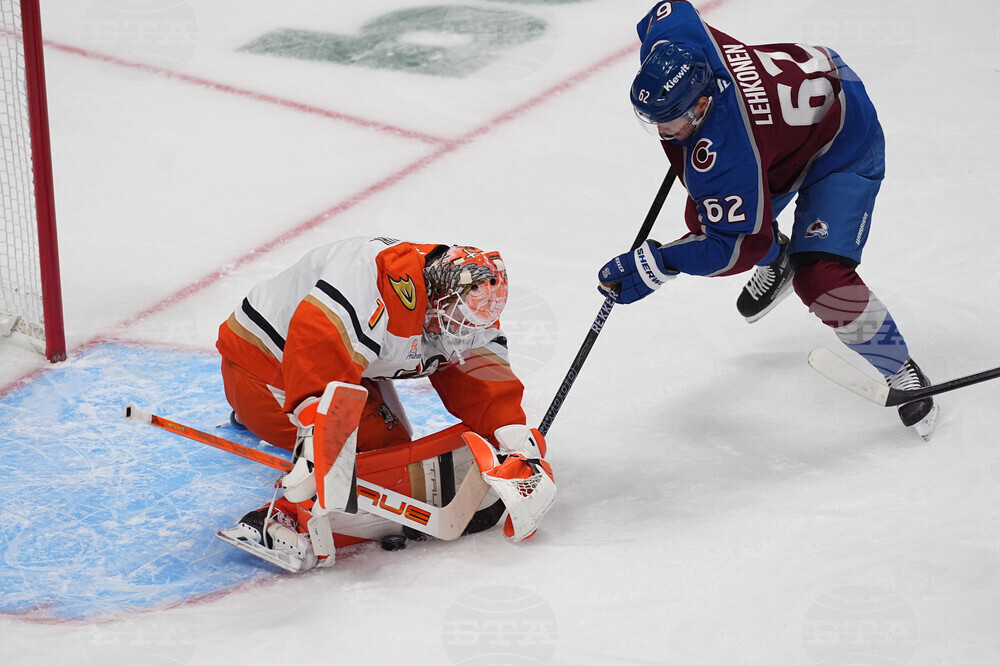 Ducks Avalanche Hockey