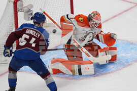 Ducks Avalanche Hockey