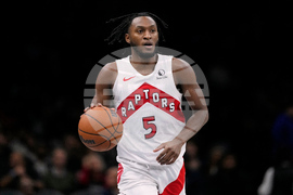 Raptors Nets Basketball