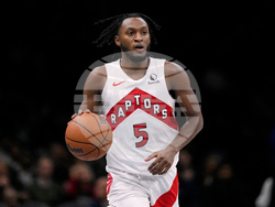 Raptors Nets Basketball